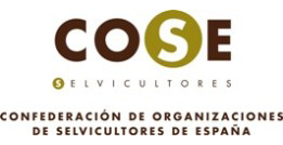 Rector COSE, Confederación de Organizaciones de Selvicultores de España